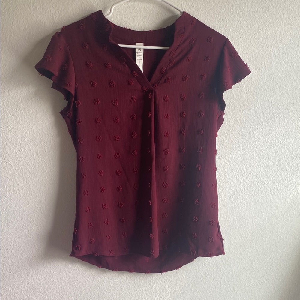 Amazon Red Blouse with Mandarin Collar and Cap Sleeves